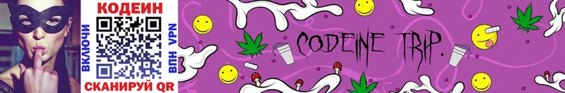 Codein Purple Drank  цена   hydra зеркало  Мензелинск 