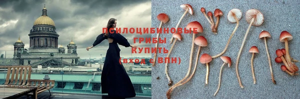 спайс Киреевск