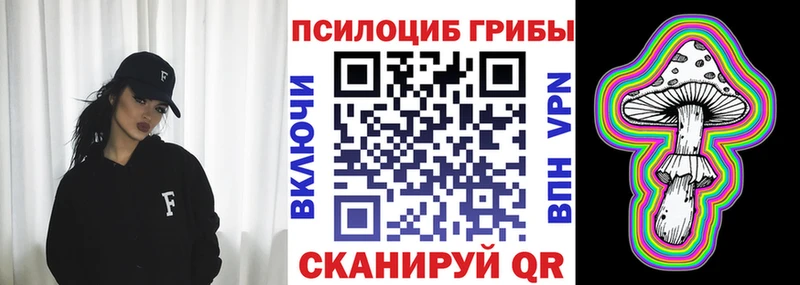Галлюциногенные грибы Psilocybe  Мензелинск 